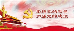 新时代党的建设（2020）